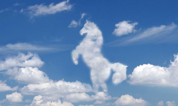 Облака в форме животных