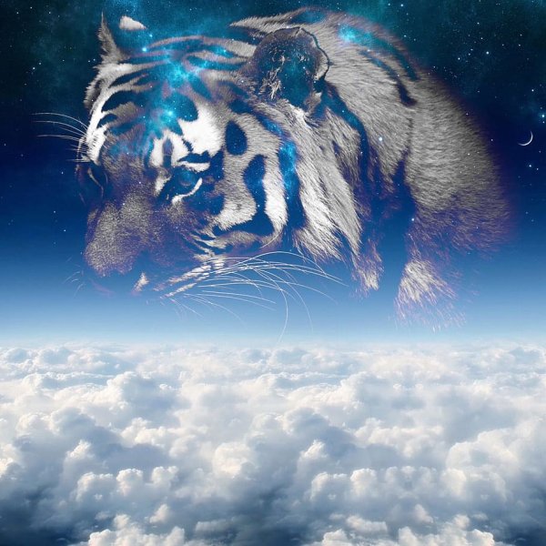 Небесный тигр