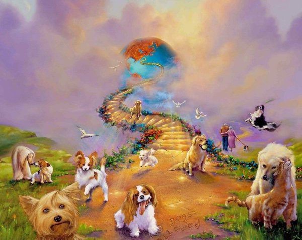 Лестница в небо Джим Уоррен