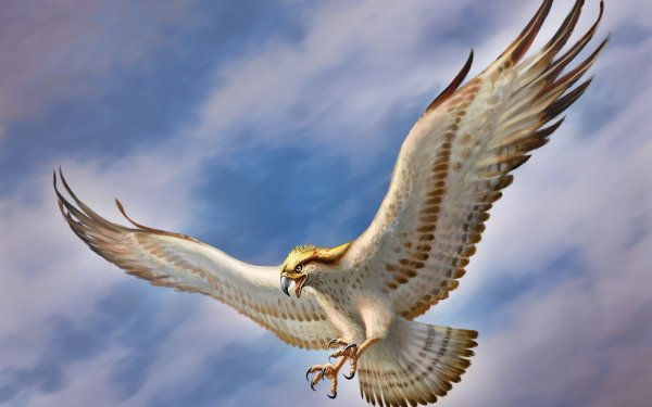 Чайки в небе