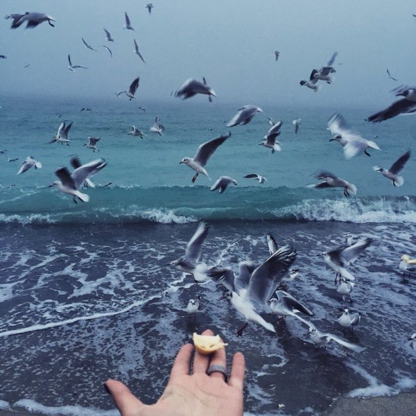 У каждого из нас свое море