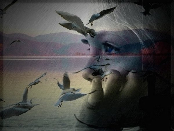 Цитаты из фильма курьер