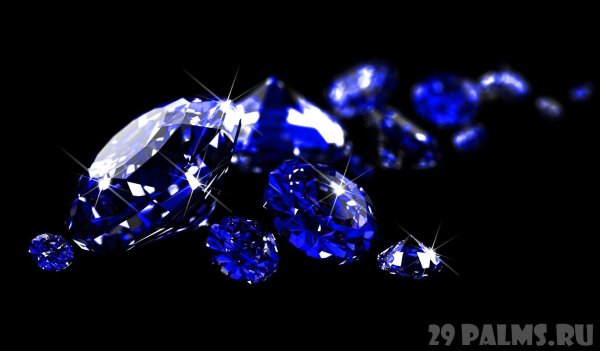 Парк Хитачи незабудки