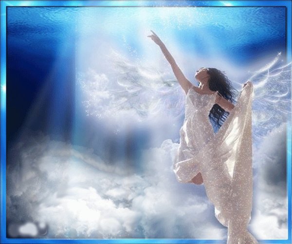 Радость в цветах