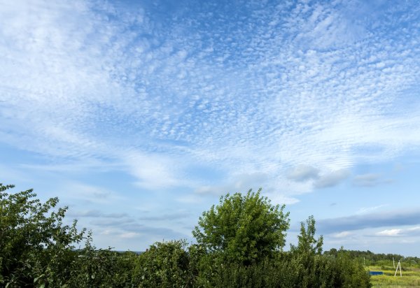 Августовское небо