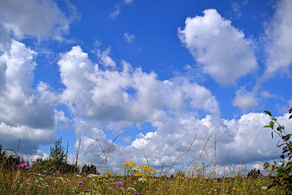 Августовские облака