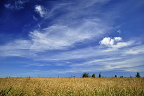 Августовское небо