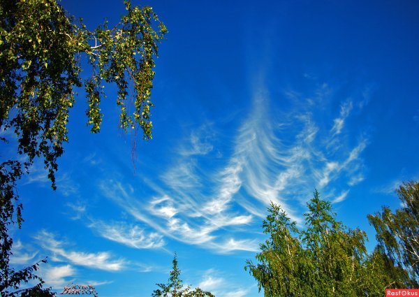 Хмурое небо