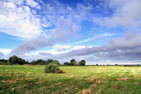 Небо облака лето