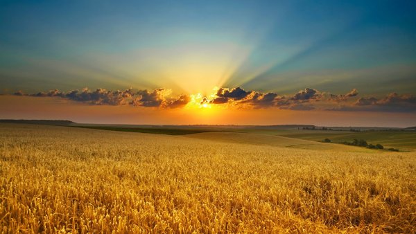 Русская природа