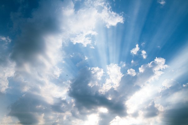 Лесостепь России