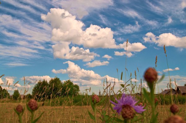 Степь ночью