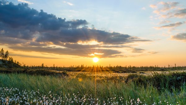 Облака плывут