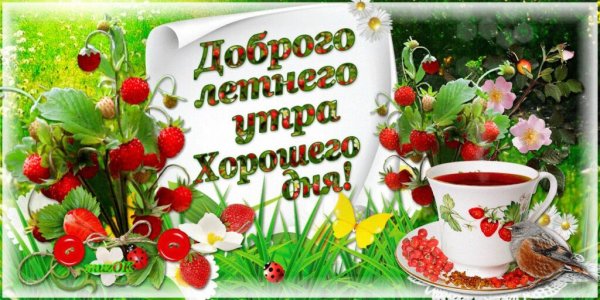 Открытки доброе утро летние