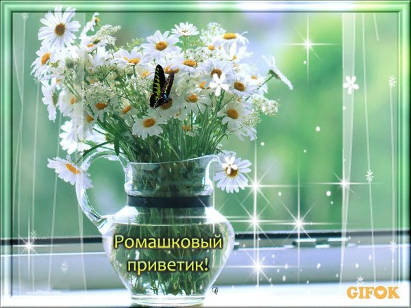 Приветствия и пожелания открытки на каждый день