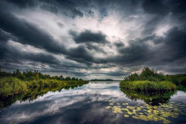 Летом у реки