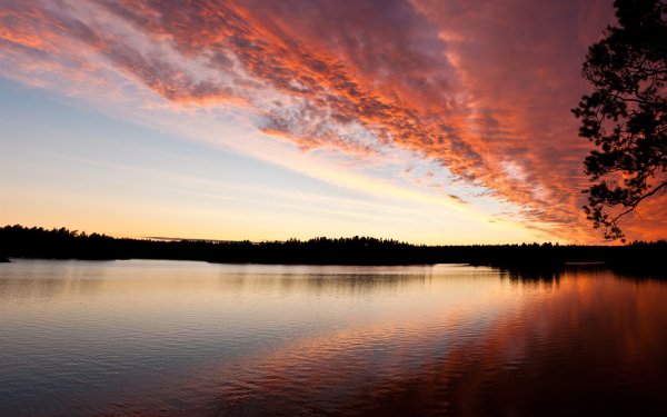 Поле с речкой