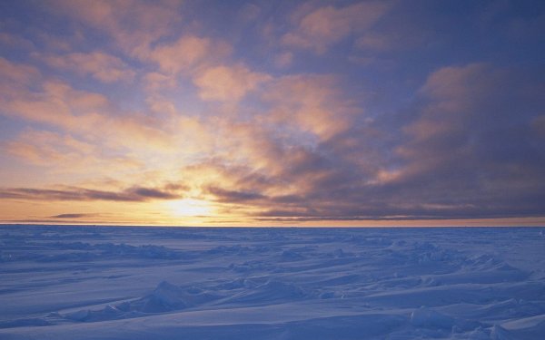 Зимнее настроение