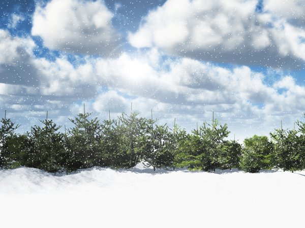 Зимнее небо