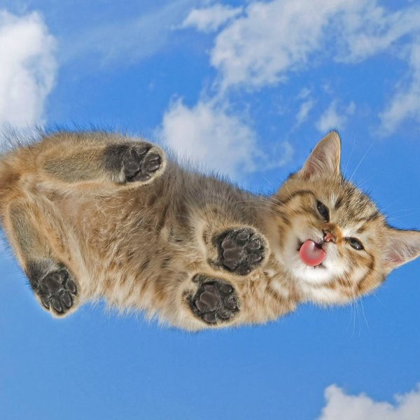 Поздравления с днём рождения десантнику