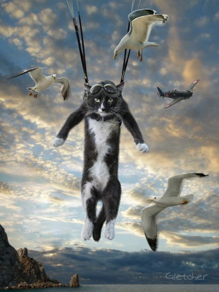 Зонт звезды