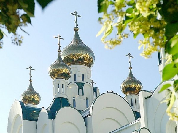 Православная Церковь белая