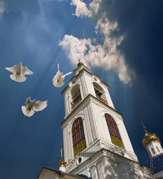 Голуби над храмом