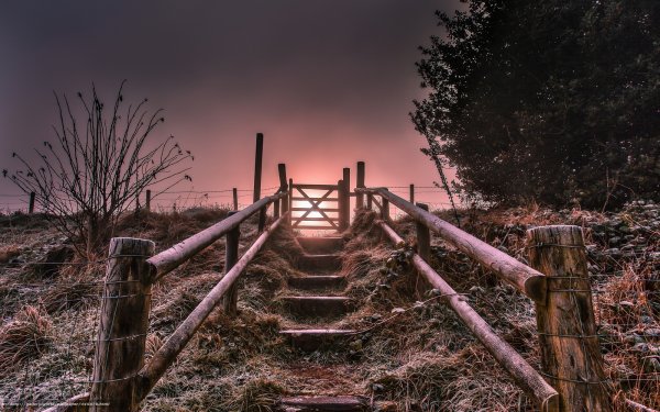 Лестница в небо