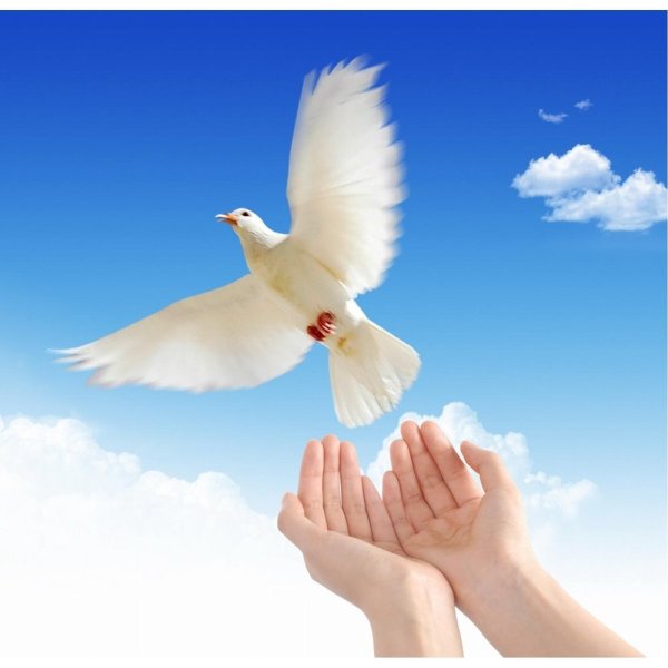 Добрая девочка