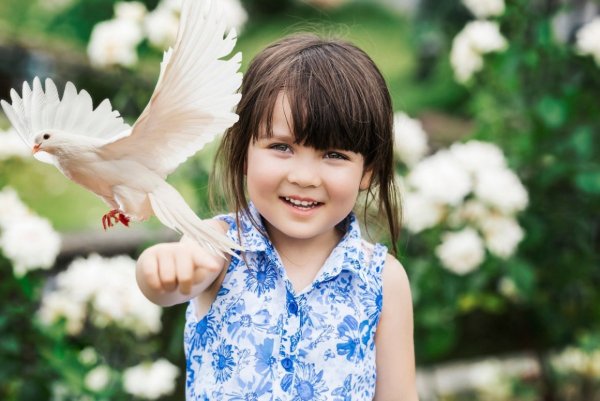 Мир на планете