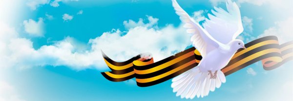 Два голубя в небе