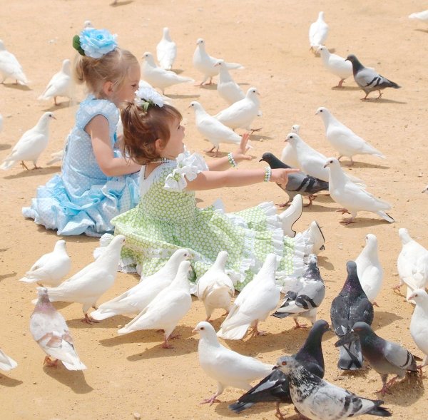 Мирное небо