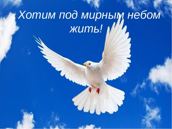 Белый голубь