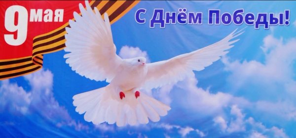 Голубь мира