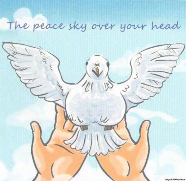 Мирное небо голуби