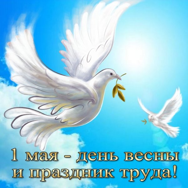 Хорошего дня и мирного неба