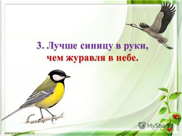 Синица в руках журавль в небе