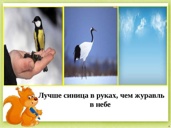 Синица в руках