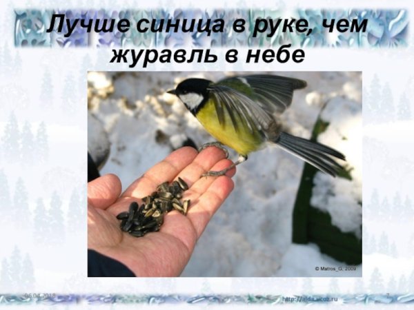 Синица в руках