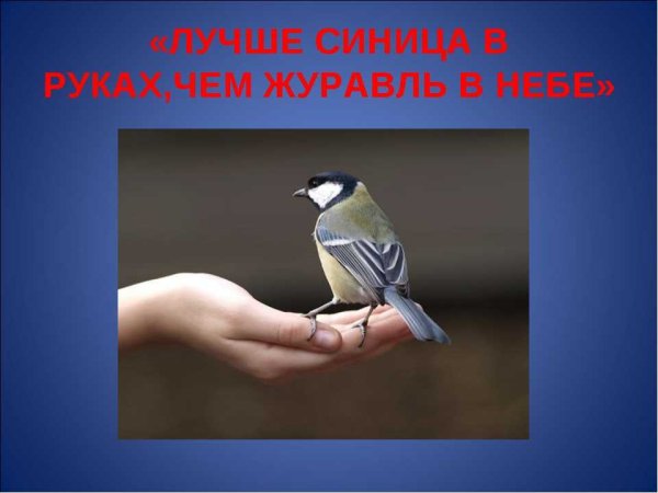 Рисунок к пословице лучше синица в руках чем журавль в небе