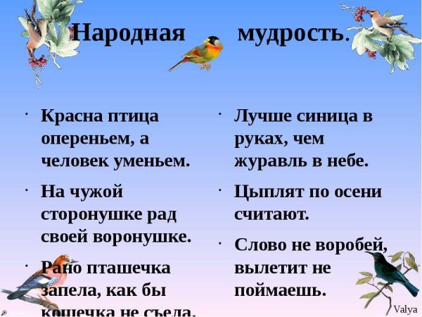 Синица в руках или журавль в небе