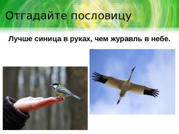 Лучше смнийа в руках чем журавль в не