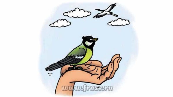 Синица в руках журавль в небе