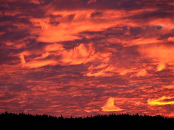 Небо в огне