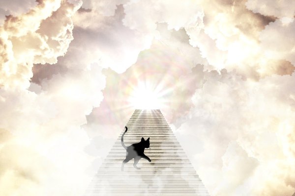 Человек поднимается по лестнице в небо