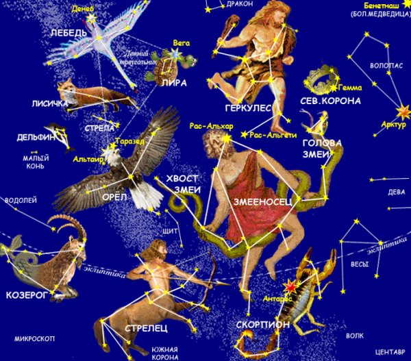 Созвездия на небе: их расположения и характеристики