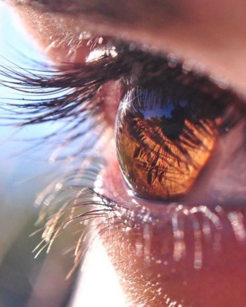 Пусть говорят с Малаховым самые шокирующие выпуски