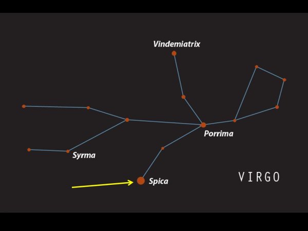 Дева Virgo Созвездие