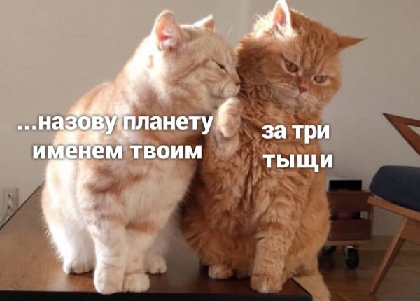 Я тебе достану звезду с неба купи кастрюлю