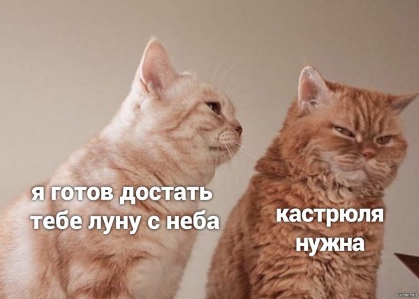 Ночь цитаты прикольные